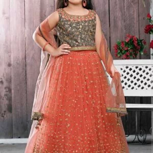 Kids Wear Traditional Lehenga Choli